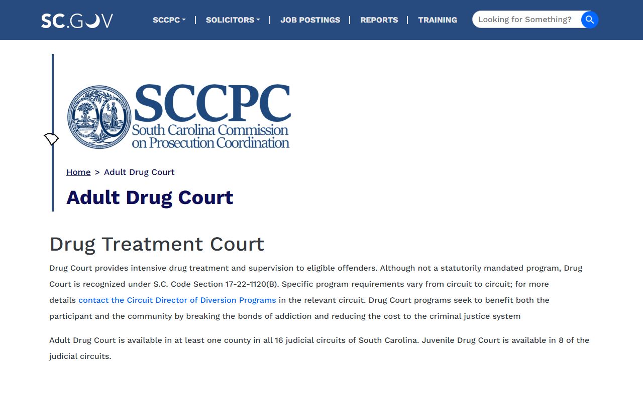 Abbeville County criminal court records Adult Drug Court information